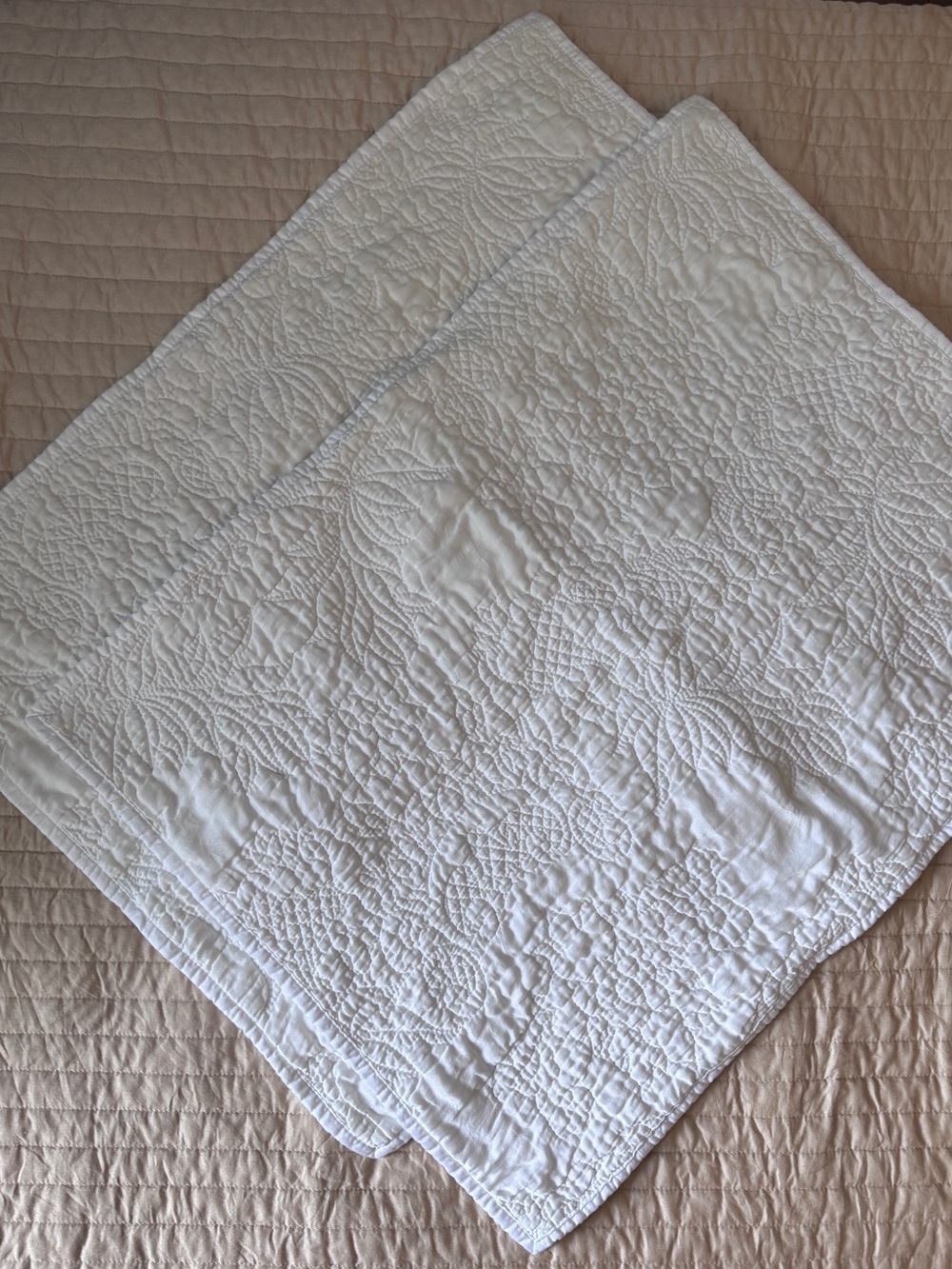 Pottery Barn x Monique Lhuillier White Satin Blossom Shams / 2 Standard